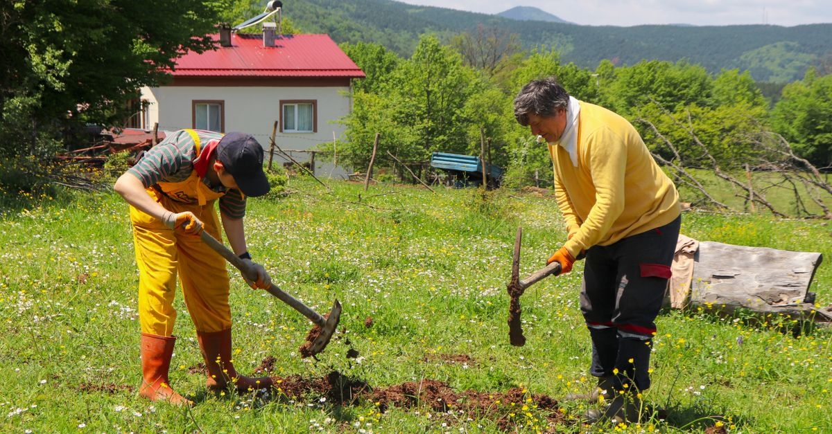Boş Arsadan Yeşil Cennete: Sıfırdan Bahçe Planlamanın Akıllı Adımları
