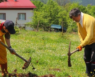 Boş Arsadan Yeşil Cennete: Sıfırdan Bahçe Planlamanın Akıllı Adımları