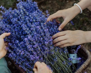 Stresi Bahçede Bırak: Aromaterapi Ot Bahçeni Adım Adım Planla